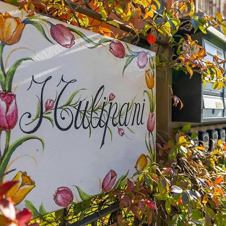 Apartmán Tulipani 17 - Tremezzina *